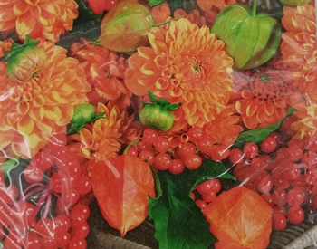 Servietter 33 x 33 cm flowers & fruits 20 stk